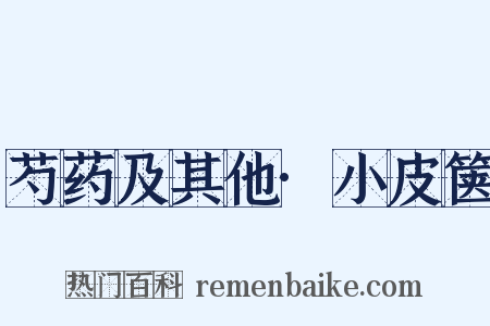 芍药及其他·小皮箧是什么意思的图片